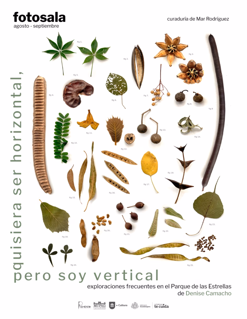 Quisiera ser horizontal, pero soy vertical