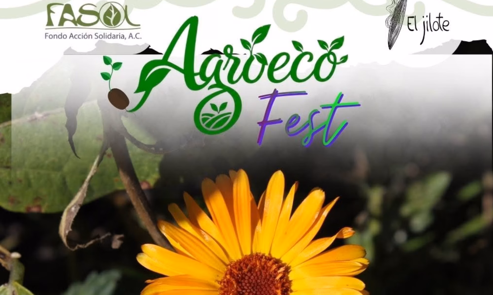 Agroeco Fest