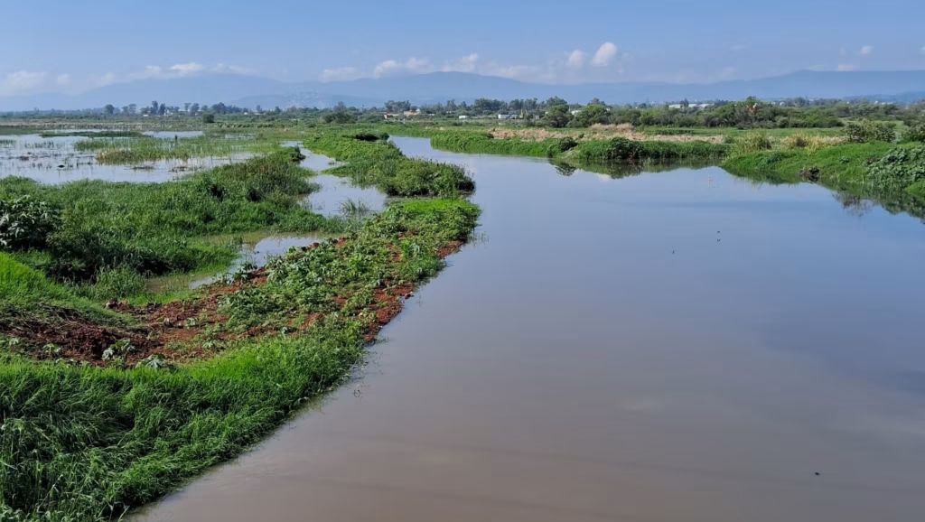 Agua Guadalajara